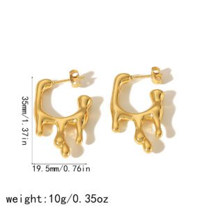 E053 stainless steel earrings
