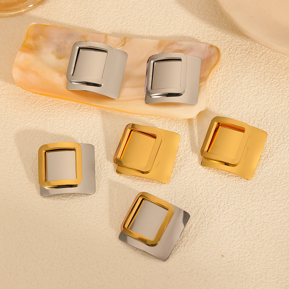 E055 stainless steel earrings